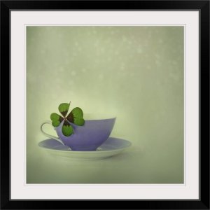little-luck,1161397.jpg