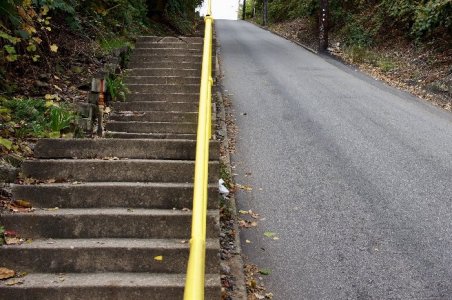 steep-streets-of-pittsburgh-e58eba480589ca13.jpg