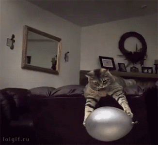 6b5a41a07fc491e4678a71ac01326fc4.gif