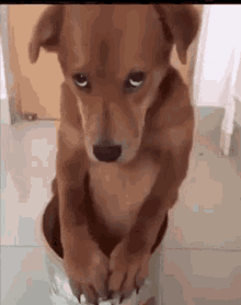 CE18BA16-8C0C-4FBE-BE4D-BC3D67D40C66.gif