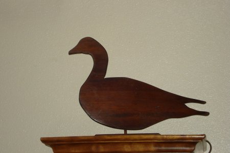 duck.JPG
