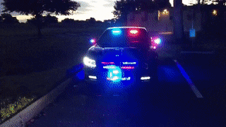 UnfinishedTediousLemur-max-1mb.gif
