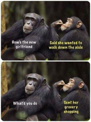 Walk down the aisle.jpg