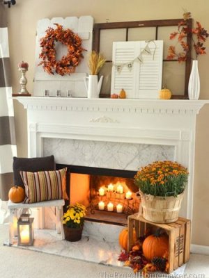 86c411c335da3ea64ee072be6c86a59b[1].jpg
