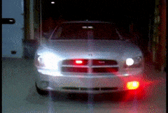 DependablePessimisticAmericanbadger-max-1mb.gif