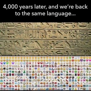 235038461_209084277863419_2213978208393493999_n.jpg