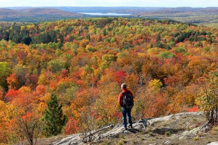 ontario-algonquin-provincial-park-hikes-centennial-ridges-fall.jpg