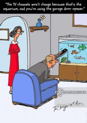Fish tank.jpg