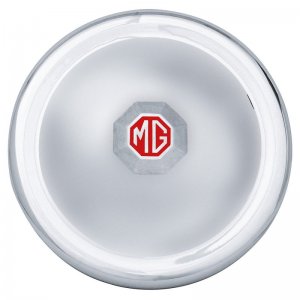 hub cap.jpg