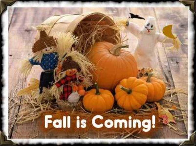fall.jpeg