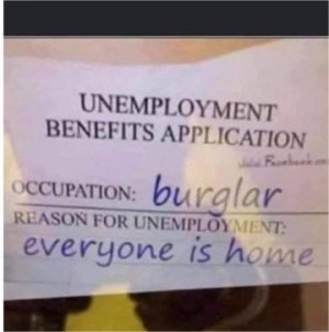 Burgler.jpg