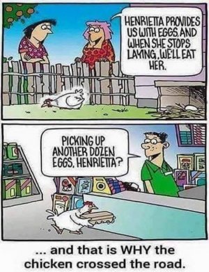 Chicken crossed road.jpg