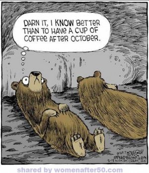 Coffee bear.jpg