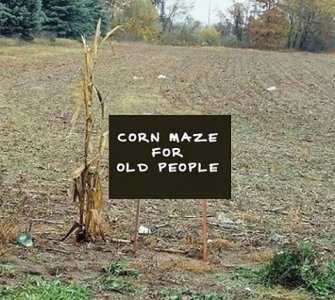 corn-maze.jpg