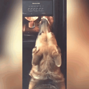 unnamed (3).gif