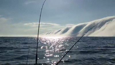b2b9fb68d6405d2854377186ea68ef9f.gif