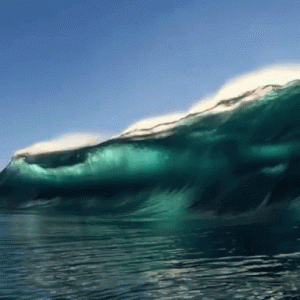 530633356031060e788e98b9c851cfe0.gif