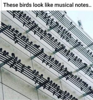 236092467_866578963973692_6062211163471359264_n[1].jpg