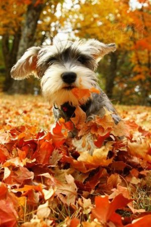 59152ce3687d19a9088b8238cc204dbb[1].jpg