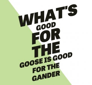 goose and gander.jpg