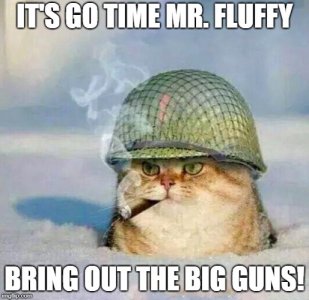 gotime.jpg