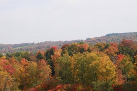 colorful.jpg