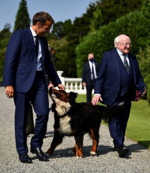macron.jpg