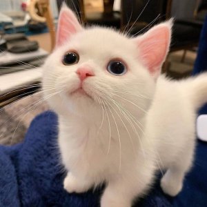 Tumblr_l_268837537601750.jpg