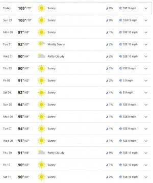 Weather.JPG