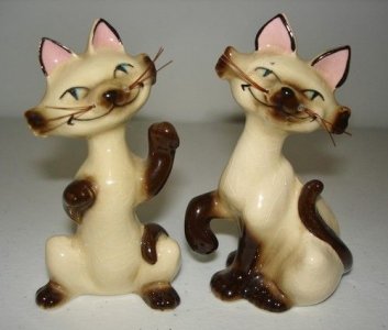 siamese.jpeg