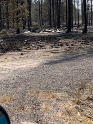 jan and kims cabin burnt to the ground..jpg