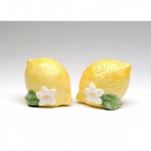 Cosmos+Gifts+Lemon+Salt+and+Pepper+Set[1].jpg
