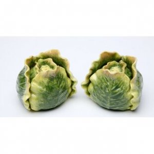 Cosmos+Gifts+Cabbage+Salt+and+Pepper+Set[1].jpg