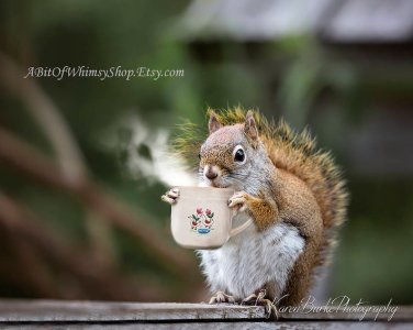il_794xN.1381211650_1z97[1].jpg