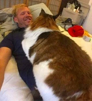cattidude083121.jpg cattidude083121.jpg