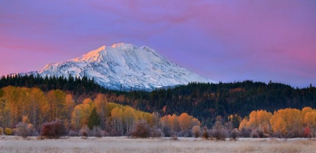 mt.jpg