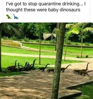 238073825_259498952636678_5129489356909188928_n[1].jpg