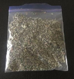 Catnip2.jpg Catnip2.jpg