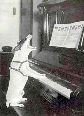 Recital @.jpg