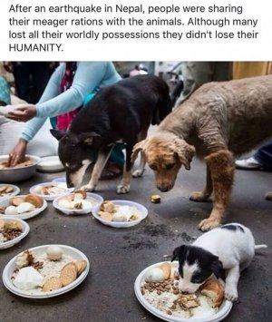 makingadifference.jpg