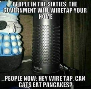239554544_997143807772433_5870114022396524580_n.jpg