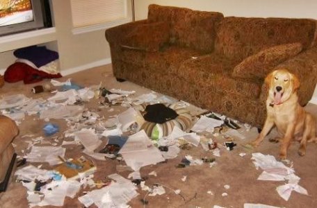 Untidy @.jpg