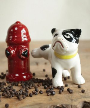 --salt-pepper-shakers-salts.jpg