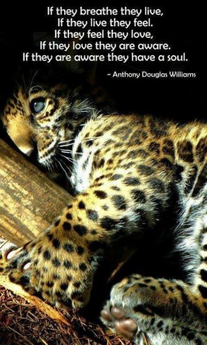 spots090121.jpg