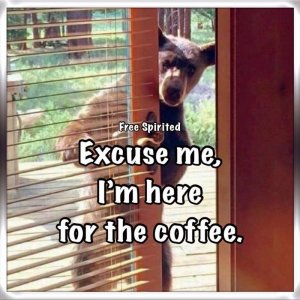 coffee090221a.jpg