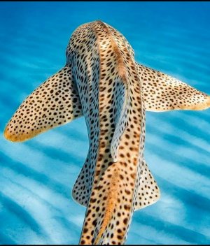 spots090221.jpg