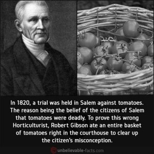 tomatoes.jpg