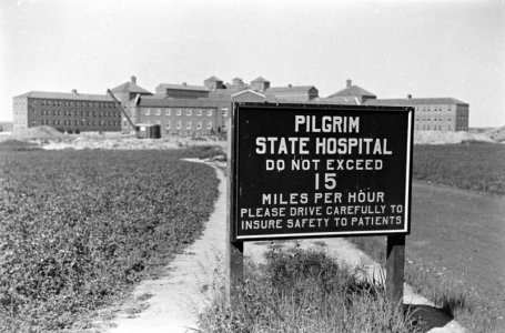 PILGRIM-3.jpg