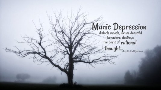 manic-depressive-quote.jpg