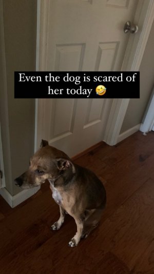 Buddee scared.jpg